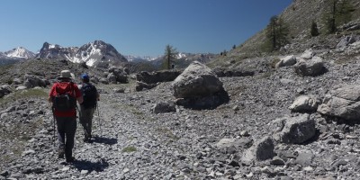 Poggio Tre Croci (2177 m) e fortificazioni B3 e B4 (2300 m) - Valle di Susa (***) - 16-06-2019 ESCURSIONISMO ESTIVO 