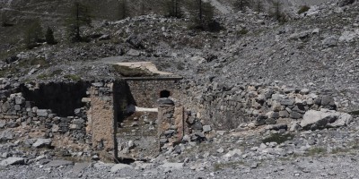 Poggio Tre Croci (2177 m) e fortificazioni B3 e B4 (2300 m) - Valle di Susa (***) - 16-06-2019 ESCURSIONISMO ESTIVO 
