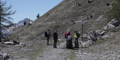 Poggio Tre Croci (2177 m) e fortificazioni B3 e B4 (2300 m) - Valle di Susa (***) - 16-06-2019 ESCURSIONISMO ESTIVO 