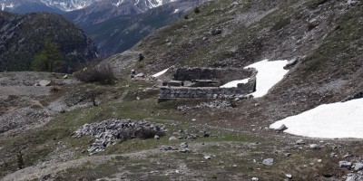 Poggio Tre Croci (2177 m) e fortificazioni B3 e B4 (2300 m) - Valle di Susa (***) - 16-06-2019 ESCURSIONISMO ESTIVO 