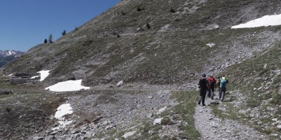 Poggio Tre Croci (2177 m) e fortificazioni B3 e B4 (2300 m) - Valle di Susa (***) - 16-06-2019 ESCURSIONISMO ESTIVO 