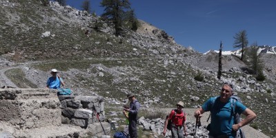 Poggio Tre Croci (2177 m) e fortificazioni B3 e B4 (2300 m) - Valle di Susa (***) - 16-06-2019 ESCURSIONISMO ESTIVO 