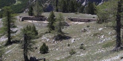 Poggio Tre Croci (2177 m) e fortificazioni B3 e B4 (2300 m) - Valle di Susa (***) - 16-06-2019 ESCURSIONISMO ESTIVO 