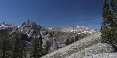 Poggio Tre Croci (2177 m) e fortificazioni B3 e B4 (2300 m) - Valle di Susa (***) - 16-06-2019 ESCURSIONISMO ESTIVO 