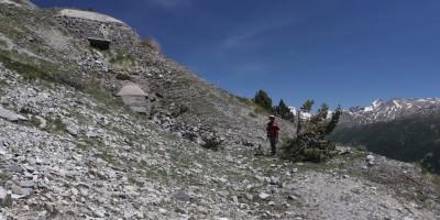Poggio Tre Croci (2177 m) e fortificazioni B3 e B4 (2300 m) - Valle di Susa (***) - 16-06-2019 ESCURSIONISMO ESTIVO 