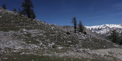 Poggio Tre Croci (2177 m) e fortificazioni B3 e B4 (2300 m) - Valle di Susa (***) - 16-06-2019 ESCURSIONISMO ESTIVO 
