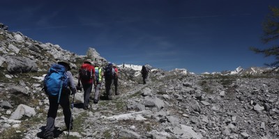 Poggio Tre Croci (2177 m) e fortificazioni B3 e B4 (2300 m) - Valle di Susa (***) - 16-06-2019 ESCURSIONISMO ESTIVO 