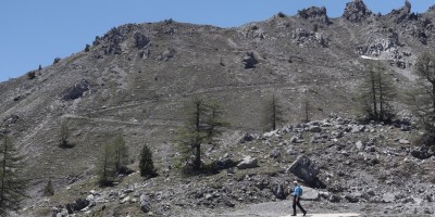 Poggio Tre Croci (2177 m) e fortificazioni B3 e B4 (2300 m) - Valle di Susa (***) - 16-06-2019 ESCURSIONISMO ESTIVO 