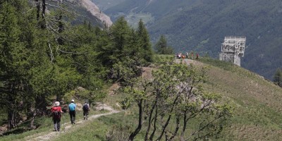Poggio Tre Croci (2177 m) e fortificazioni B3 e B4 (2300 m) - Valle di Susa (***) - 16-06-2019 ESCURSIONISMO ESTIVO 