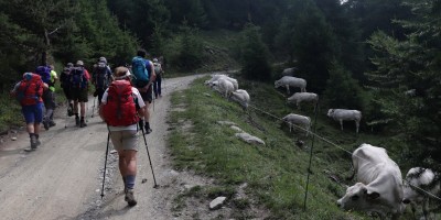 Traversata dalla Val Chisone alla Val Susa - 29-06-2019 ESCURSIONISMO ESTIVO 