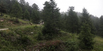 Traversata dalla Val Chisone alla Val Susa - 29-06-2019 ESCURSIONISMO ESTIVO 