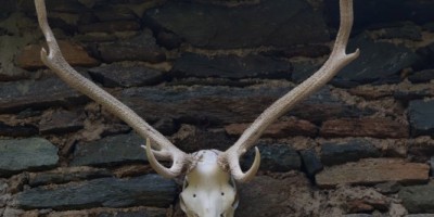 Traversata dalla Val Chisone alla Val Susa - 29-06-2019 ESCURSIONISMO ESTIVO 