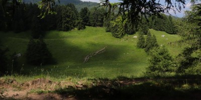 Traversata dalla Val Chisone alla Val Susa - 29-06-2019 ESCURSIONISMO ESTIVO 