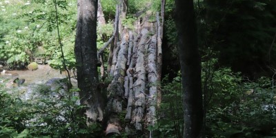 Traversata dalla Val Chisone alla Val Susa - 29-06-2019 ESCURSIONISMO ESTIVO 