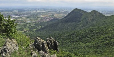 Monte Pietraborga - 12-05-2019 ESCURSIONISMO ESTIVO 