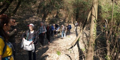 Castagneto da Po - 31-03-2019 ESCURSIONISMO ESTIVO 