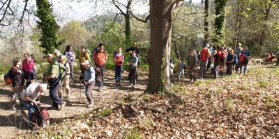 Castagneto da Po - 31-03-2019 ESCURSIONISMO ESTIVO 