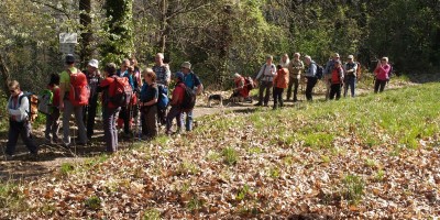 Castagneto da Po - 31-03-2019 ESCURSIONISMO ESTIVO 