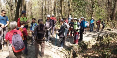 Castagneto da Po - 31-03-2019 ESCURSIONISMO ESTIVO 