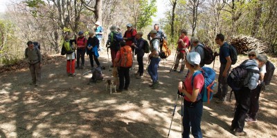 Castagneto da Po - 31-03-2019 ESCURSIONISMO ESTIVO 