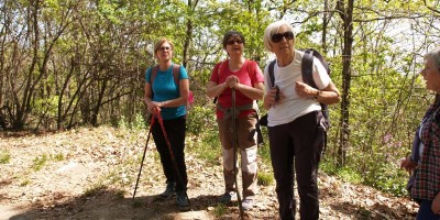 Castagneto da Po - 31-03-2019 ESCURSIONISMO ESTIVO 