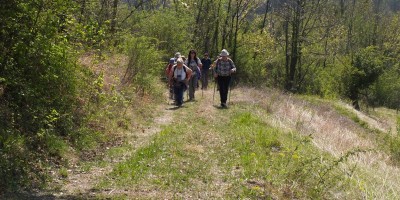 Castagneto da Po - 31-03-2019 ESCURSIONISMO ESTIVO 