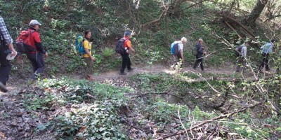 Castagneto da Po - 31-03-2019 ESCURSIONISMO ESTIVO 