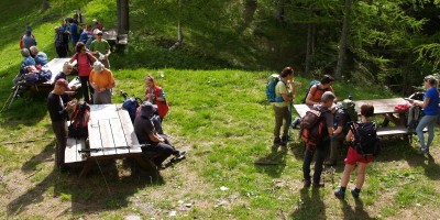 Cresta della Balma e vallone di Rodoretto Val Germanasca - 02-06-2024 ESCURSIONISMO ESTIVO 