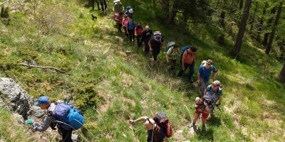 Cresta della Balma e vallone di Rodoretto Val Germanasca - 02-06-2024 ESCURSIONISMO ESTIVO 