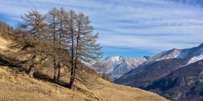 Alpe Brun m 2142 - 04-02-2024 ESCURSIONISMO INVERNALE 