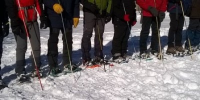 Aggiornamento ARTVA per tutti - 15-01-2017 ESCURSIONISMO INVERNALE 