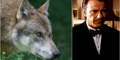 SONO WOLF E RISOLVO PROBLEMI - UNIONE ESCURSIONISTI TORINO ...
