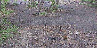 Percorso ad anello per i 5 laghi di Ivrea - 16-10-2022 ESCURSIONISMO ESTIVO 