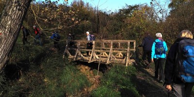 Sui sentieri del Barbaresco – in collaborazione con il CAI di Alba - 12-11-2023 ESCURSIONISMO ESTIVO 