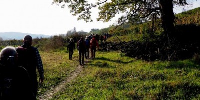 Sui sentieri del Barbaresco – in collaborazione con il CAI di Alba - 12-11-2023 ESCURSIONISMO ESTIVO 