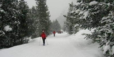 Rifugio Re Magi (1768 m) - 05-02-2017 ESCURSIONISMO INVERNALE 