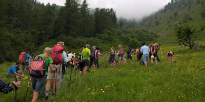 UET 125 - Colle Aciano e Rifugio Toesca - 18-06-2017 ESCURSIONISMO ESTIVO 