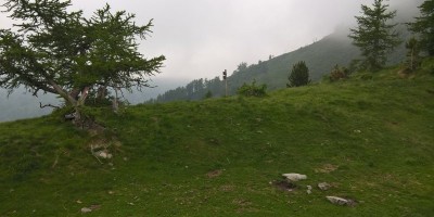 UET 125 - Colle Aciano e Rifugio Toesca - 18-06-2017 ESCURSIONISMO ESTIVO 