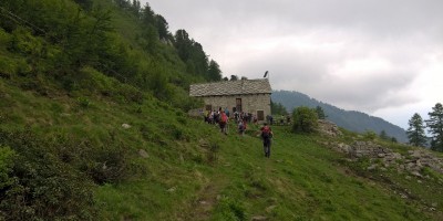 UET 125 - Colle Aciano e Rifugio Toesca - 18-06-2017 ESCURSIONISMO ESTIVO 