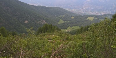 UET 125 - Colle Aciano e Rifugio Toesca - 18-06-2017 ESCURSIONISMO ESTIVO 