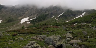 UET 125 - Colle Aciano e Rifugio Toesca - 18-06-2017 ESCURSIONISMO ESTIVO 