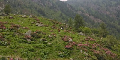 UET 125 - Colle Aciano e Rifugio Toesca - 18-06-2017 ESCURSIONISMO ESTIVO 