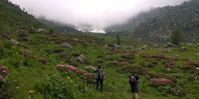 UET 125 - Colle Aciano e Rifugio Toesca - 18-06-2017 ESCURSIONISMO ESTIVO 