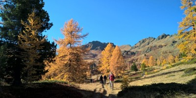 CAPANNA GIMONT e LAGO DEI SETTE COLORI (2329 m) - 15-10-2017 ESCURSIONISMO ESTIVO 