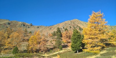 CAPANNA GIMONT e LAGO DEI SETTE COLORI (2329 m) - 15-10-2017 ESCURSIONISMO ESTIVO 