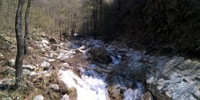 LA FAGGETA DEL VALLONE DI GRAN DUBBIONE (Pinerolese) - 22-04-2018 ESCURSIONISMO ESTIVO 