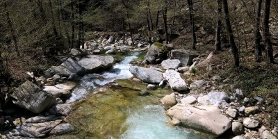 LA FAGGETA DEL VALLONE DI GRAN DUBBIONE (Pinerolese) - 22-04-2018 ESCURSIONISMO ESTIVO 