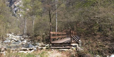 LA FAGGETA DEL VALLONE DI GRAN DUBBIONE (Pinerolese) - 22-04-2018 ESCURSIONISMO ESTIVO 