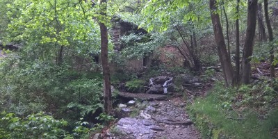 COLMA DI VERCIO 1254 m (Lago Maggiore) - 20-05-2018 ESCURSIONISMO ESTIVO 