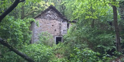 COLMA DI VERCIO 1254 m (Lago Maggiore) - 20-05-2018 ESCURSIONISMO ESTIVO 